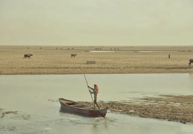 Marsh Arabs