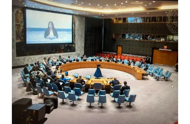 UN council 1