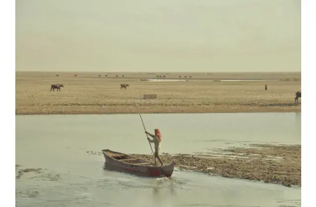 Marsh Arabs