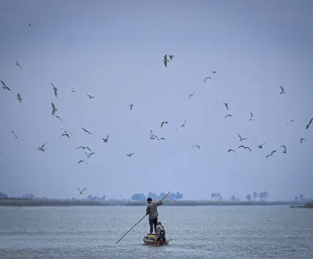 Fishing in Iraq