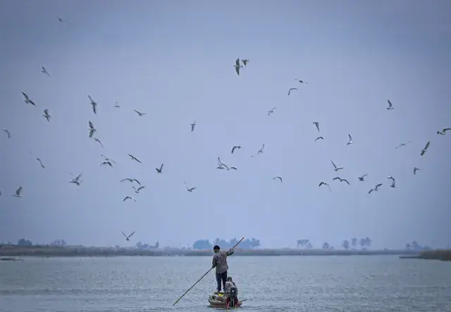 Fishing in Iraq